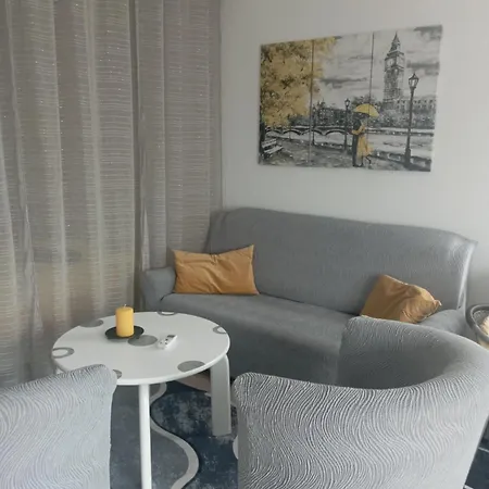 Apartment Nejra *