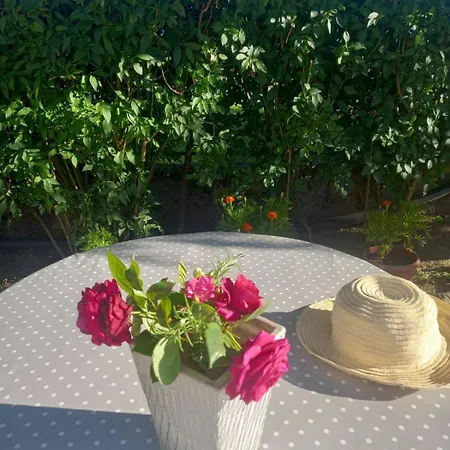 Appartamento Nejra *